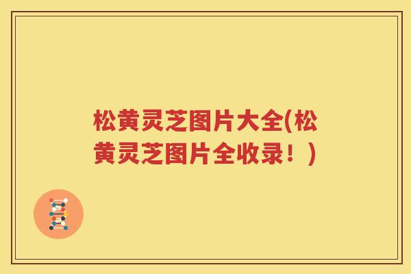 松黄灵芝图片大全(松黄灵芝图片全收录！)