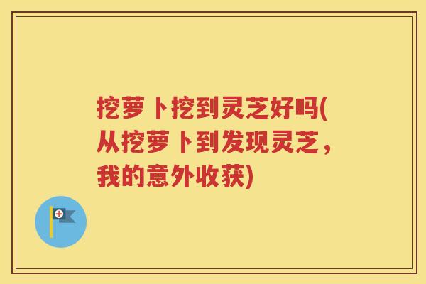 挖萝卜挖到灵芝好吗(从挖萝卜到发现灵芝，我的意外收获)
