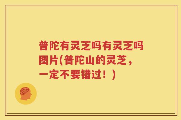 普陀有灵芝吗有灵芝吗图片(普陀山的灵芝，一定不要错过！)