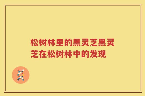 松树林里的黑灵芝黑灵芝在松树林中的发现