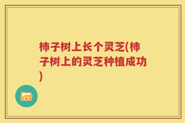 柿子树上长个灵芝(柿子树上的灵芝种植成功)