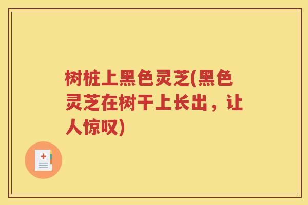 树桩上黑色灵芝(黑色灵芝在树干上长出，让人惊叹)