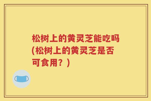 松树上的黄灵芝能吃吗(松树上的黄灵芝是否可食用？)