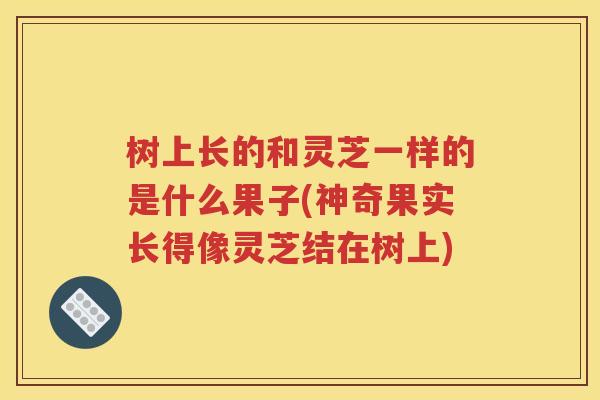 树上长的和灵芝一样的是什么果子(神奇果实长得像灵芝结在树上)
