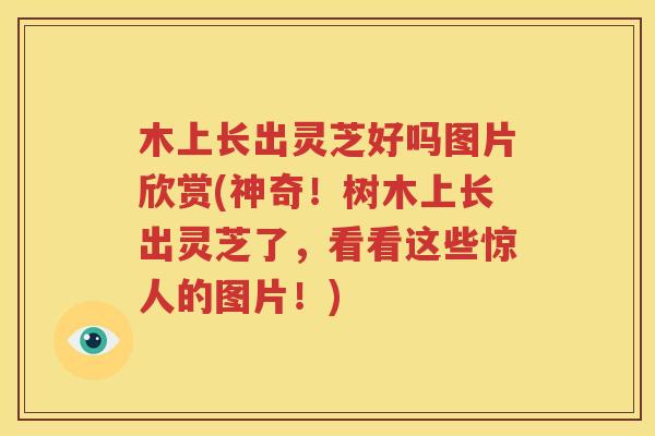 木上长出灵芝好吗图片欣赏(神奇！树木上长出灵芝了，看看这些惊人的图片！)