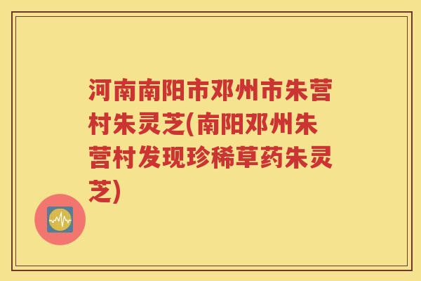 河南南阳市邓州市朱营村朱灵芝(南阳邓州朱营村发现珍稀草药朱灵芝)