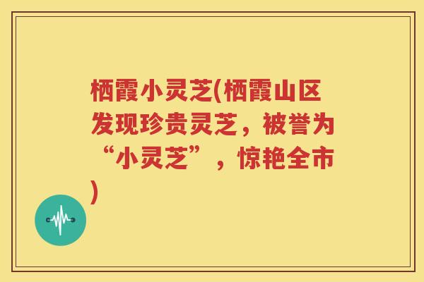 栖霞小灵芝(栖霞山区发现珍贵灵芝，被誉为“小灵芝”，惊艳全市)