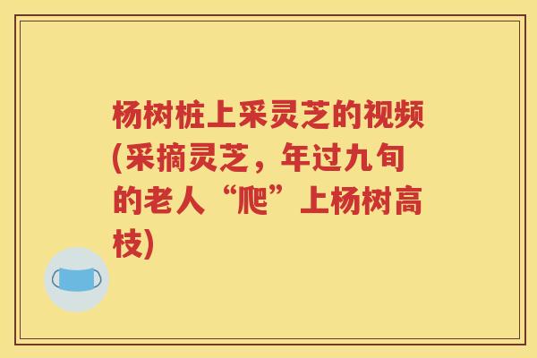 杨树桩上采灵芝的视频(采摘灵芝，年过九旬的老人“爬”上杨树高枝)