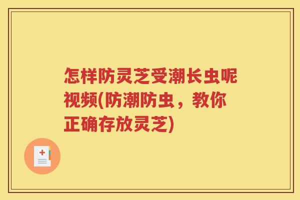 怎样防灵芝受潮长虫呢视频(防潮防虫，教你正确存放灵芝)