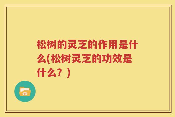 松树的灵芝的作用是什么(松树灵芝的功效是什么？)