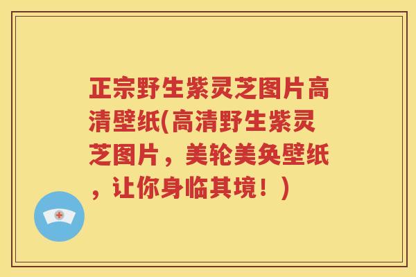 正宗野生紫灵芝图片高清壁纸(高清野生紫灵芝图片，美轮美奂壁纸，让你身临其境！)
