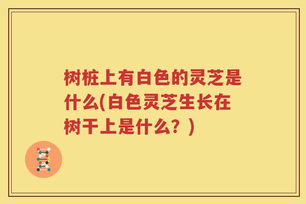树桩上有白色的灵芝是什么(白色灵芝生长在树干上是什么？)