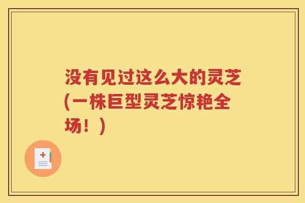 没有见过这么大的灵芝(一株巨型灵芝惊艳全场！)