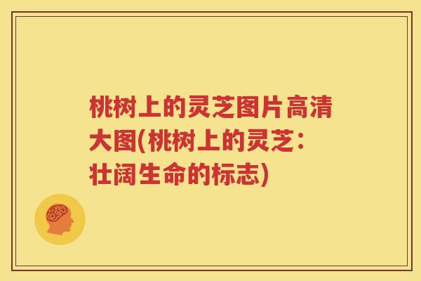 桃树上的灵芝图片高清大图(桃树上的灵芝：壮阔生命的标志)