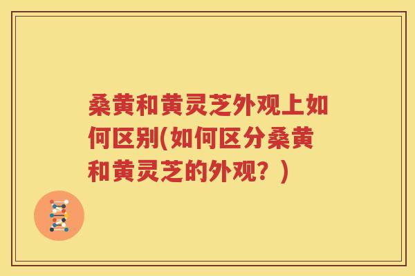 桑黄和黄灵芝外观上如何区别(如何区分桑黄和黄灵芝的外观？)