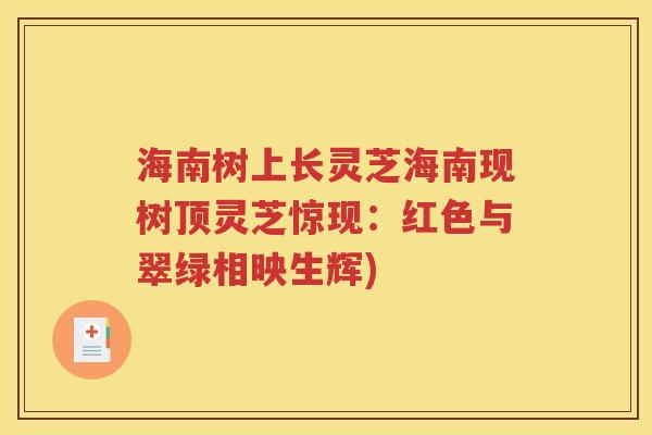 海南树上长灵芝海南现树顶灵芝惊现：红色与翠绿相映生辉)
