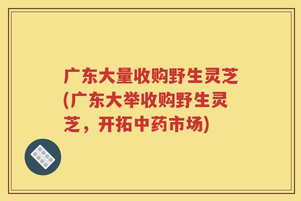 广东大量收购野生灵芝(广东大举收购野生灵芝，开拓中药市场)