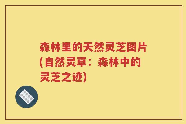 森林里的天然灵芝图片(自然灵草：森林中的灵芝之迹)