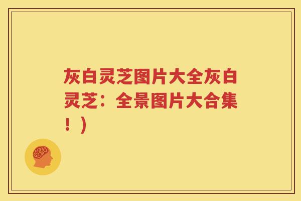 灰白灵芝图片大全灰白灵芝：全景图片大合集！)