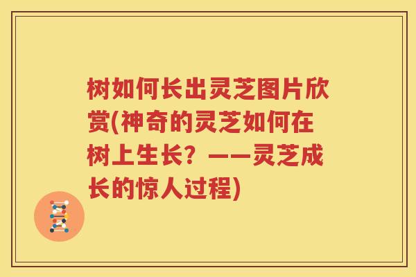 树如何长出灵芝图片欣赏(神奇的灵芝如何在树上生长？——灵芝成长的惊人过程)