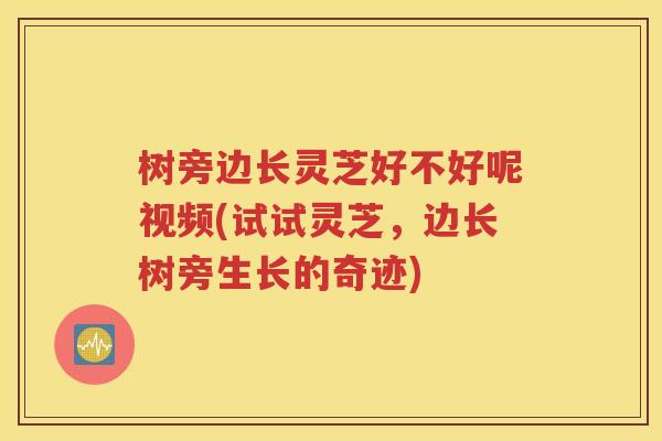 树旁边长灵芝好不好呢视频(试试灵芝，边长树旁生长的奇迹)