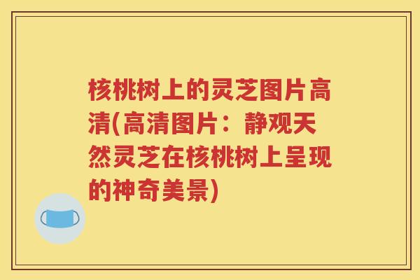 核桃树上的灵芝图片高清(高清图片：静观天然灵芝在核桃树上呈现的神奇美景)