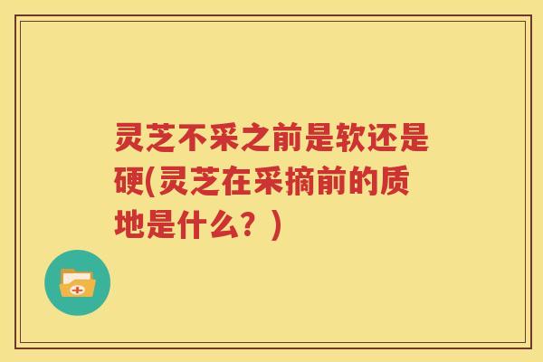 灵芝不采之前是软还是硬(灵芝在采摘前的质地是什么？)