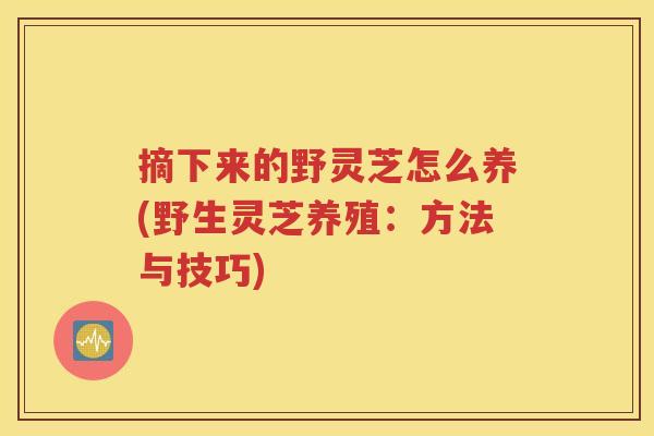 摘下来的野灵芝怎么养(野生灵芝养殖：方法与技巧)