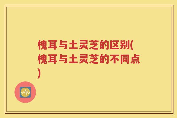 槐耳与土灵芝的区别(槐耳与土灵芝的不同点)