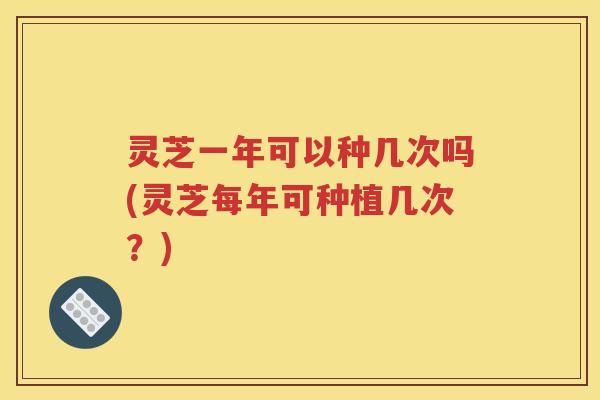 灵芝一年可以种几次吗(灵芝每年可种植几次？)