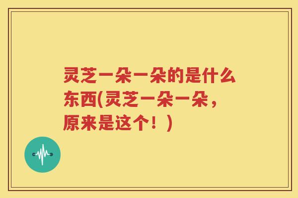 灵芝一朵一朵的是什么东西(灵芝一朵一朵，原来是这个！)
