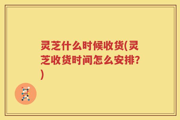 灵芝什么时候收货(灵芝收货时间怎么安排？)