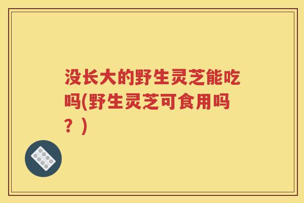 没长大的野生灵芝能吃吗(野生灵芝可食用吗？)