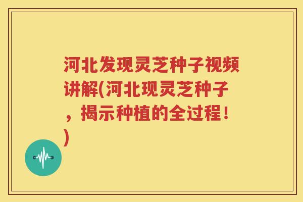 河北发现灵芝种子视频讲解(河北现灵芝种子，揭示种植的全过程！)