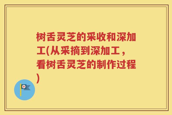 树舌灵芝的采收和深加工(从采摘到深加工，看树舌灵芝的制作过程)