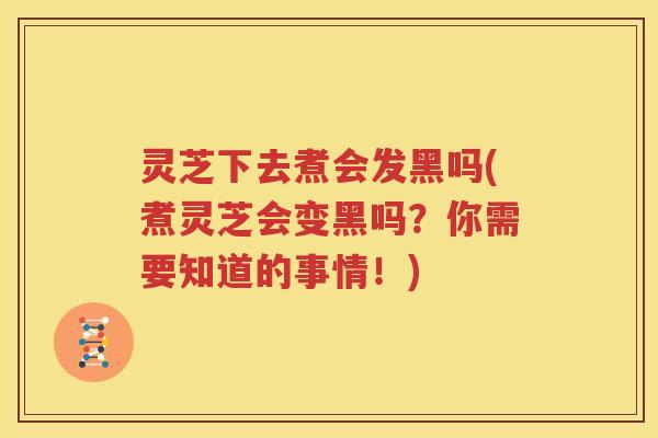 灵芝下去煮会发黑吗(煮灵芝会变黑吗？你需要知道的事情！)