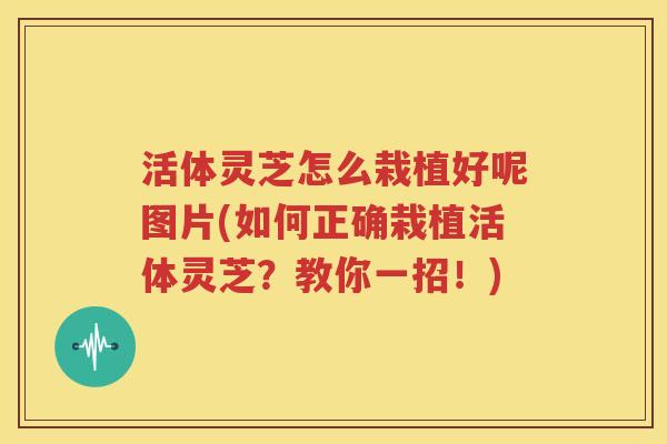 活体灵芝怎么栽植好呢图片(如何正确栽植活体灵芝？教你一招！)