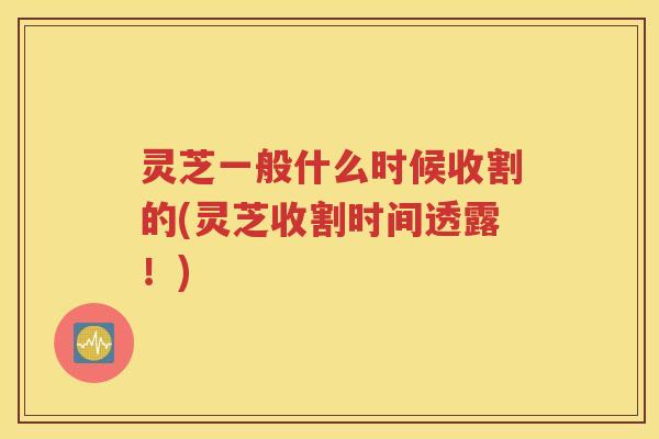 灵芝一般什么时候收割的(灵芝收割时间透露！)