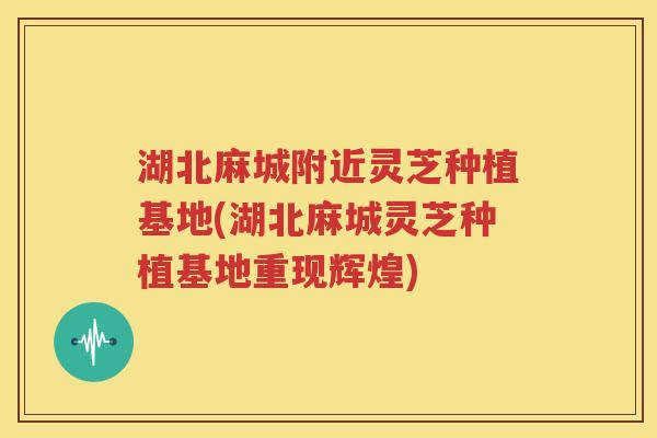 湖北麻城附近灵芝种植基地(湖北麻城灵芝种植基地重现辉煌)