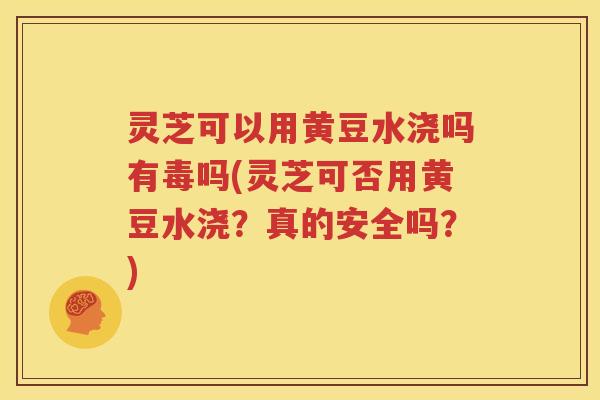灵芝可以用黄豆水浇吗有毒吗(灵芝可否用黄豆水浇？真的安全吗？)