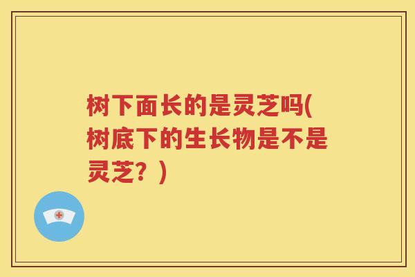 树下面长的是灵芝吗(树底下的生长物是不是灵芝？)