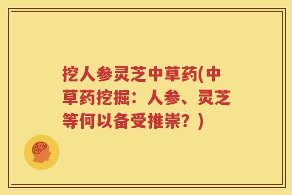 挖人参灵芝中草药(中草药挖掘：人参、灵芝等何以备受推崇？)