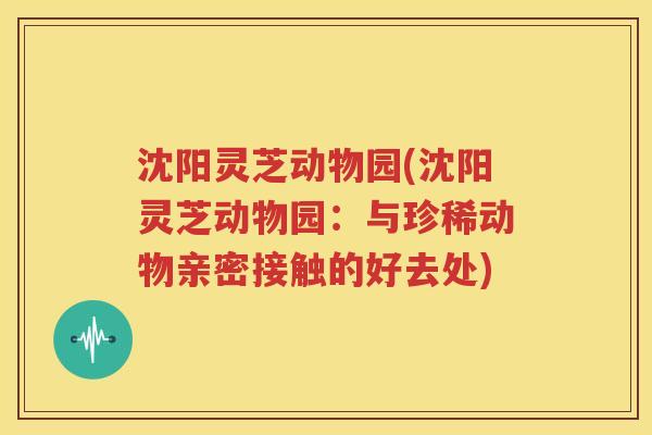 沈阳灵芝动物园(沈阳灵芝动物园：与珍稀动物亲密接触的好去处)