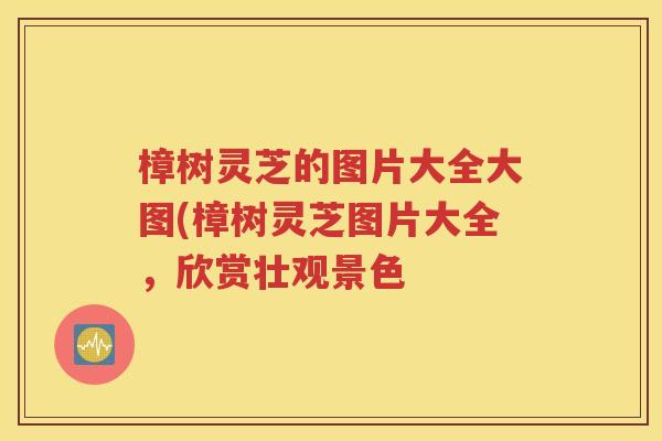 樟树灵芝的图片大全大图(樟树灵芝图片大全，欣赏壮观景色