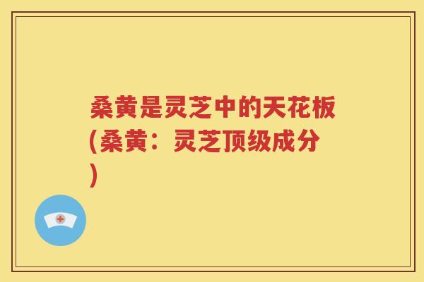桑黄是灵芝中的天花板(桑黄：灵芝顶级成分)