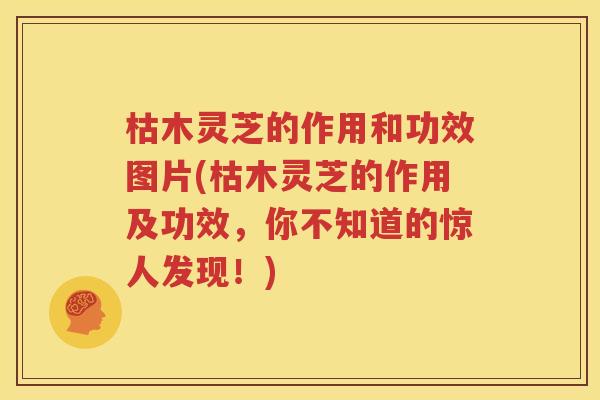 枯木灵芝的作用和功效图片(枯木灵芝的作用及功效，你不知道的惊人发现！)