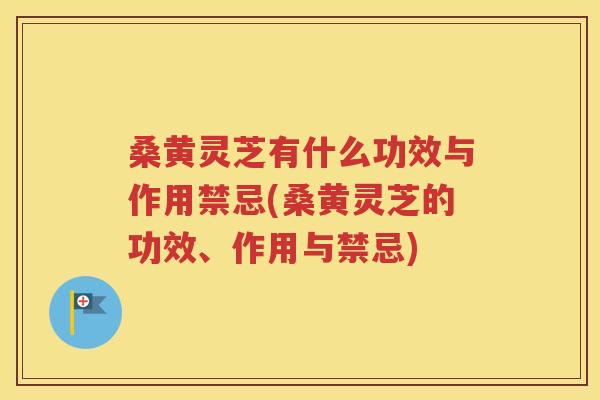 桑黄灵芝有什么功效与作用禁忌(桑黄灵芝的功效、作用与禁忌)