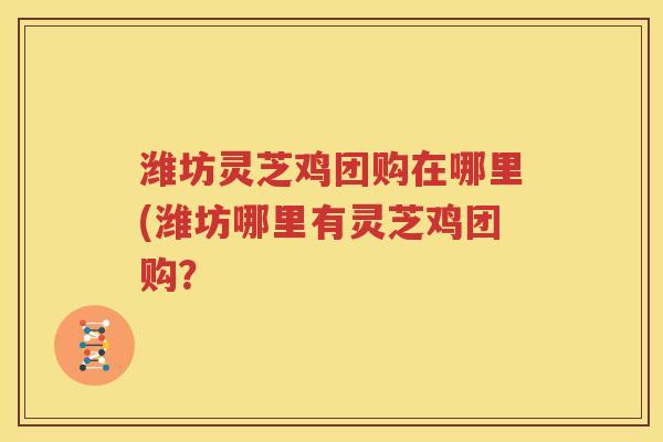 潍坊灵芝鸡团购在哪里(潍坊哪里有灵芝鸡团购？
