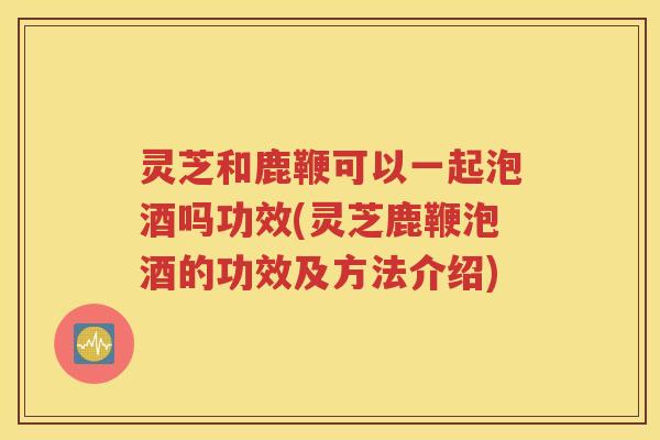 灵芝和鹿鞭可以一起泡酒吗功效(灵芝鹿鞭泡酒的功效及方法介绍)