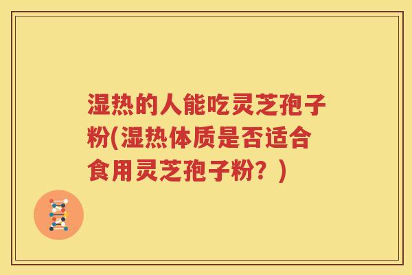 湿热的人能吃灵芝孢子粉(湿热体质是否适合食用灵芝孢子粉？)